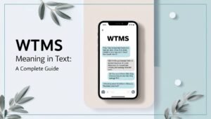 WTMS Meaning in Text: A Complete Guide - PunsZ